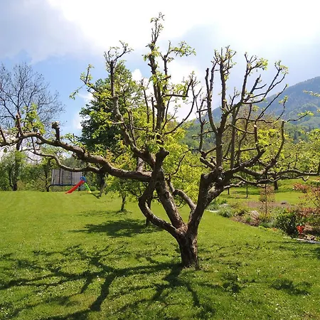 Zupancic Bohinjska Bela