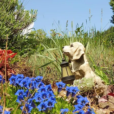 Habitación en casa particular Zupancic *