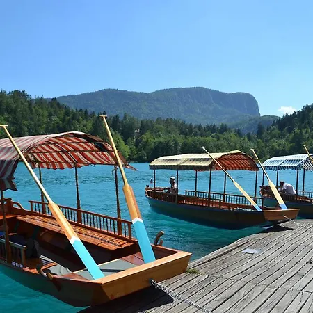 Zupancic Bohinjska Bela