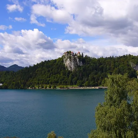 Habitación en casa particular Zupancic *