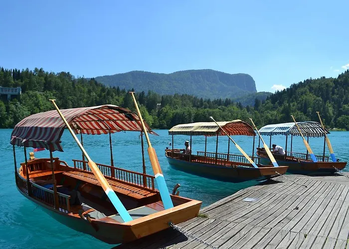 Zupancic Bohinjska Bela