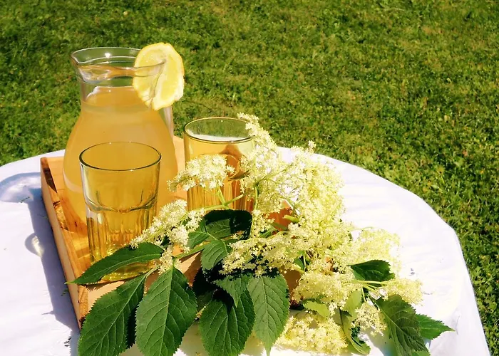 Privatunterkunft Zupancic Bohinjska Bela