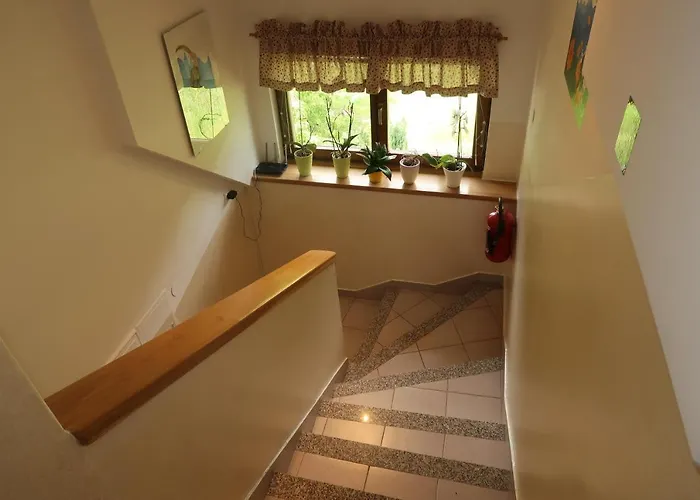 Zupancic * Bohinjska Bela